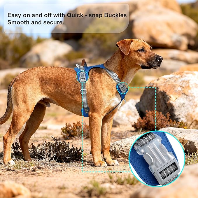No Pull Dog Harness – Adjustable Reflective Nylon Vest for Small Medium Large Dogs, Escape Proof Training Harness with Leather Control Handle, Lightweight Aluminum Hardware (Royal Blue, M)
