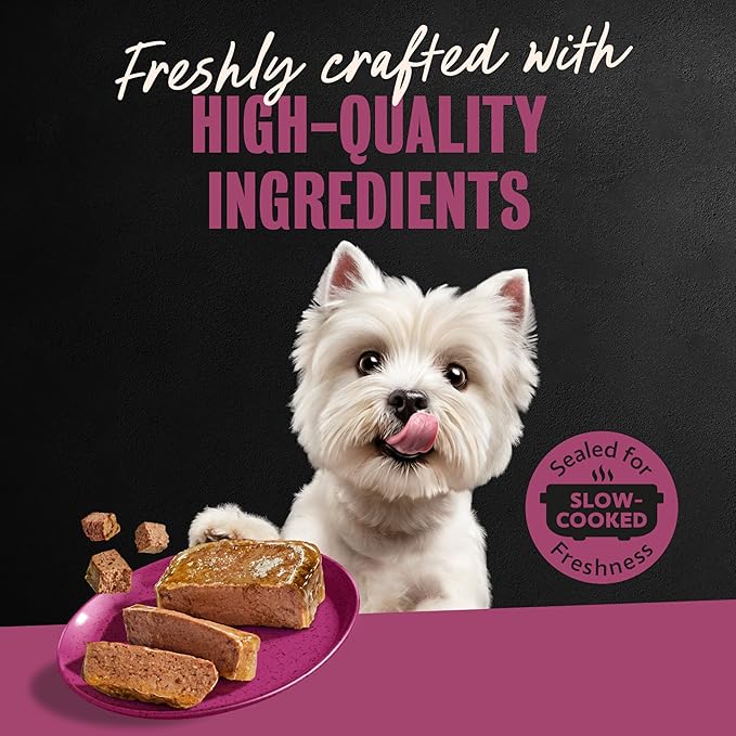 Cesar Adult Wet Dog Food Steak Lovers Variety Pack with Real Meat, 3.5 oz. Easy Peel Trays, 36 Count (Pack of 1)