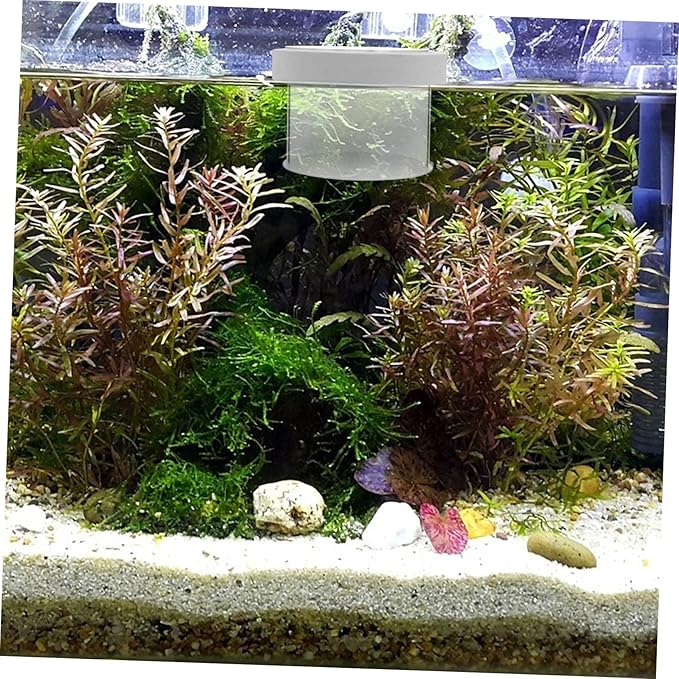 NOLITOY 2pcs Fish Breeding Box Floating Tank for Small Fish Water Permeable Design Easy to Clean High Convenient Aquarium Hatchery