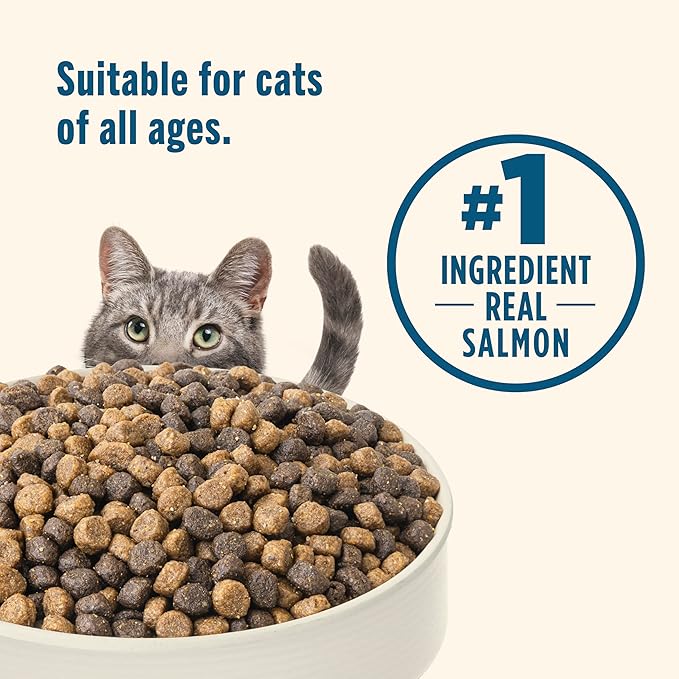 Nutrish Real Salmon & Brown Rice Recipe Dry Cat Food, 6 lb. Bag, Packaging May Vary (Rachael Ray)