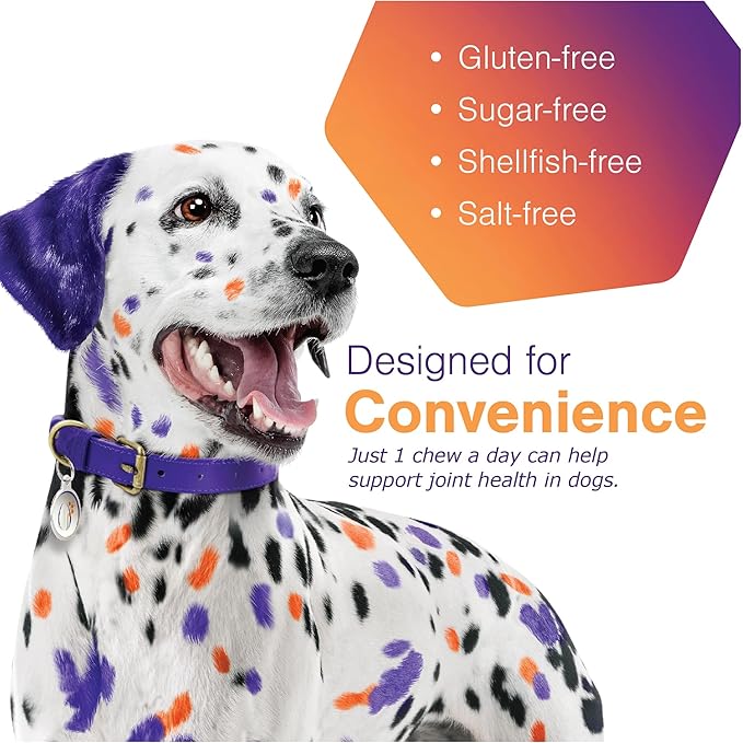 Virbac MOVOFLEX® Soft Chews | Hip and Joint Support Supplement for Medium Dogs (60 Count) | Veterinarian Formulated