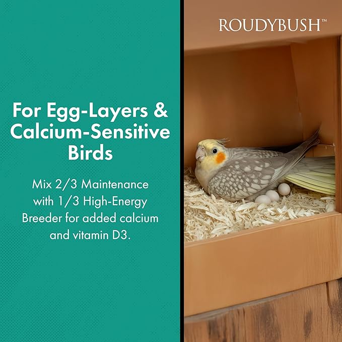 RoudyBush Daily Maintenance Bird Food, Crumbles, 10-Pound