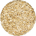 Unida Alpiste Canary Seed | 100% Pure, Natural & Non-GMO Bird Food for Canaries, Finches, Budgies & Parakeets | Double Cleaned Bird Seed, 5 lbs