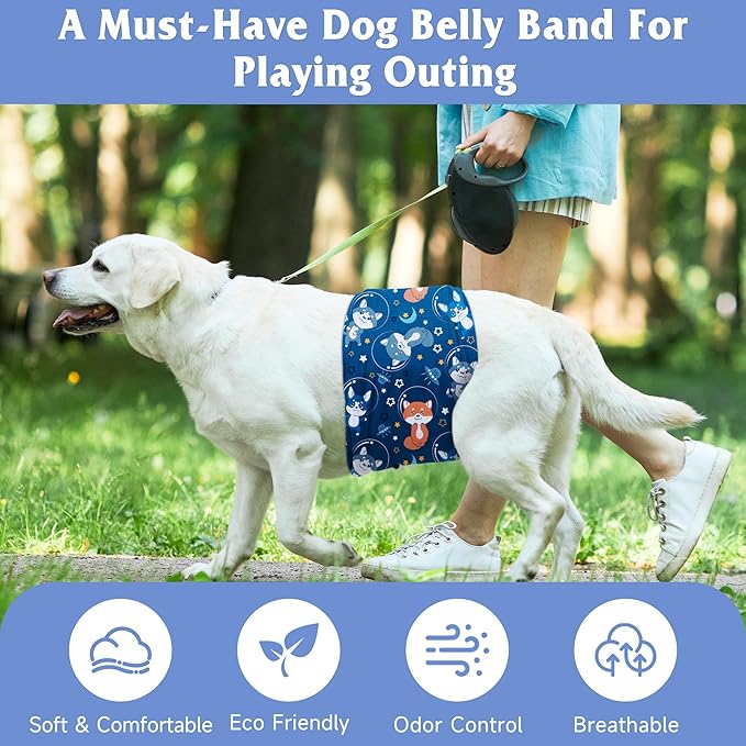 5 Pack Dog Diapers Male Reusable, Premium Belly Bands for Male Dogs, High Absorbing Pee Wraps for Doggie in Incontinence or Excitable Urination Flower XS