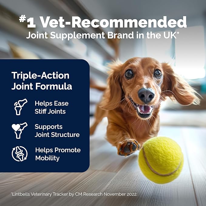 YuMOVE Dog Joint Supplement, Hip and Joint Supplement for Dogs with Glucosamine for Dogs, Hyaluronic Acid, Green Lipped Mussel and Omega 3, Dog Hip and Joint Aches and Stiffness (300 Soft Chews)