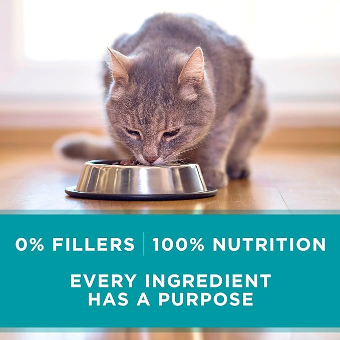 Purina ONE Natural, High Protein, Grain Free Wet Cat Food Pate, Turkey Recipe - (Pack of 24) 3 oz. Pull-Top Cans