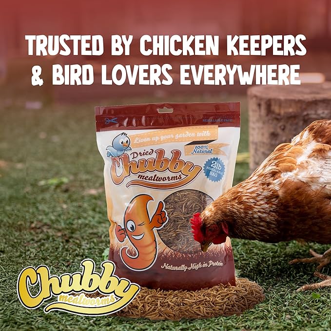 Chubby Dried Mealworms | 22 lbs | High-Protein Non-GMO Treats for Chickens, Ducks, Wild Birds & Backyard Pets