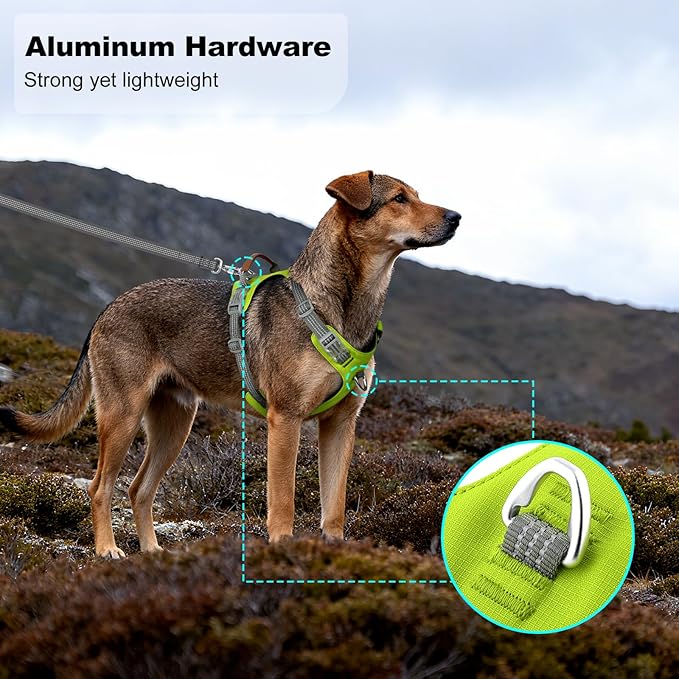 No Pull Dog Harness – Adjustable Reflective Nylon Vest for Small Medium Large Dogs, Escape Proof Training Harness with Leather Control Handle, Lightweight Aluminum Hardware (Green, M)