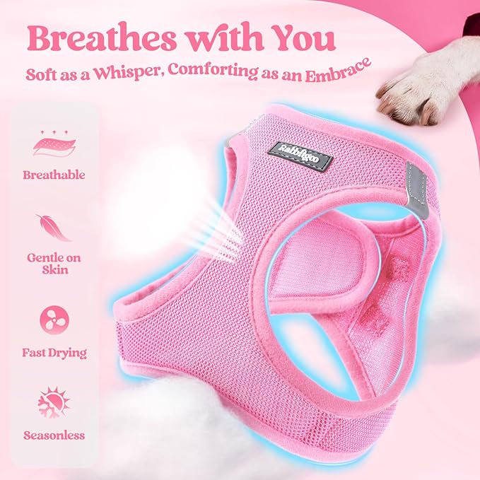 rabbitgoo Dog Harness Small Sized and Leash Set, Step in Soft Light Puppy Vest, Breathable Mesh Pet Harness, Reflective for Safe Easy Walking, Light Pink M