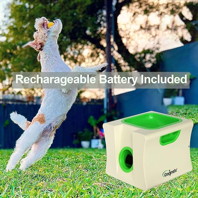 Small Interactive Ball Launcher with Rechargeable, Automatic Dog Ball launcer for Mini Dog (Ball Thrower with 3 Mini Balls)