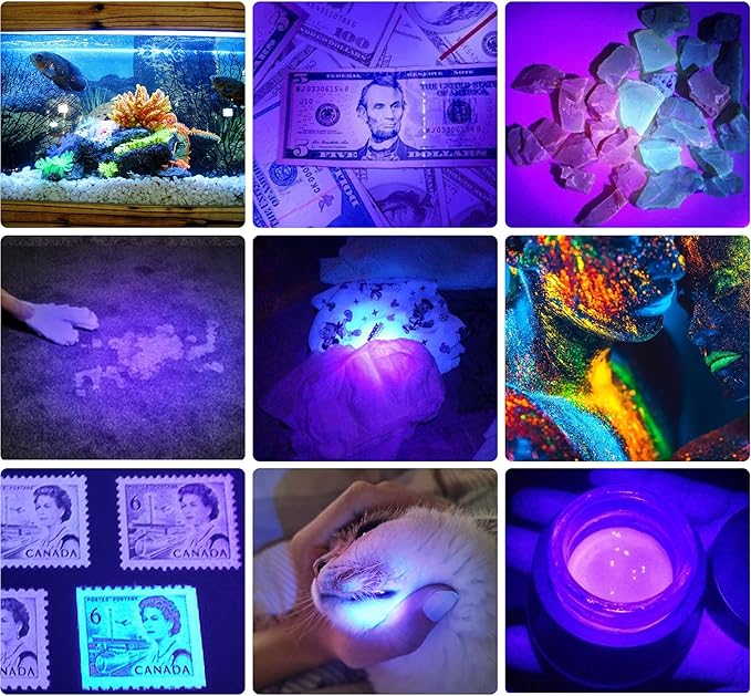 DARKBEAM UV 395nm USB Rechargeable Flashlight Ultraviolet led Light Blacklight Portable 400nm Mini Detector for Dog Urine Pet Stains, Anti-counterfeiting Identification, Resin Curing