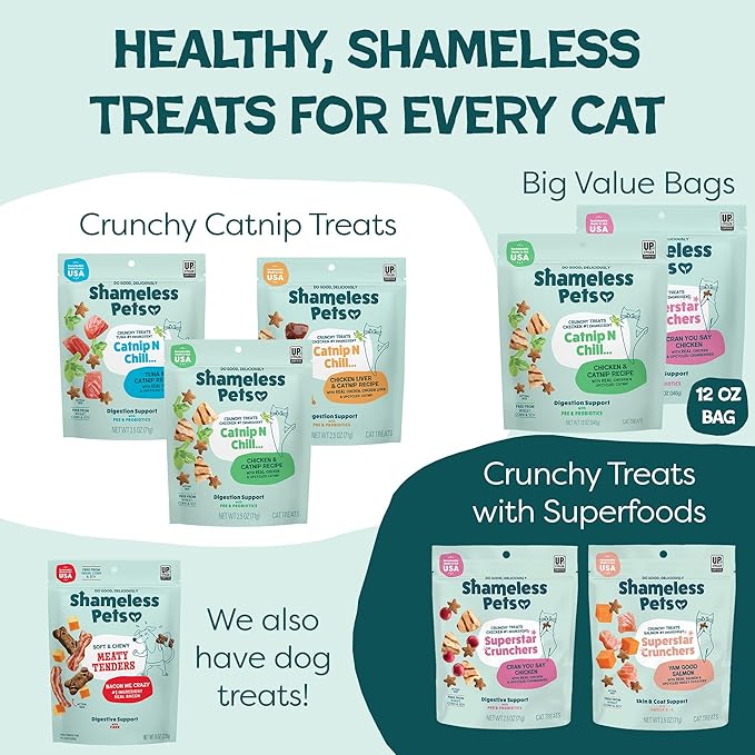 Shameless Pets Crunchy Cat Treats - Kitty Treats for Cats with Skin & Coat Support, Natural Ingredients Kitten Treats with Real Salmon, Healthy Flavored Feline Snacks - Yam Good Salmon, 1-Pk