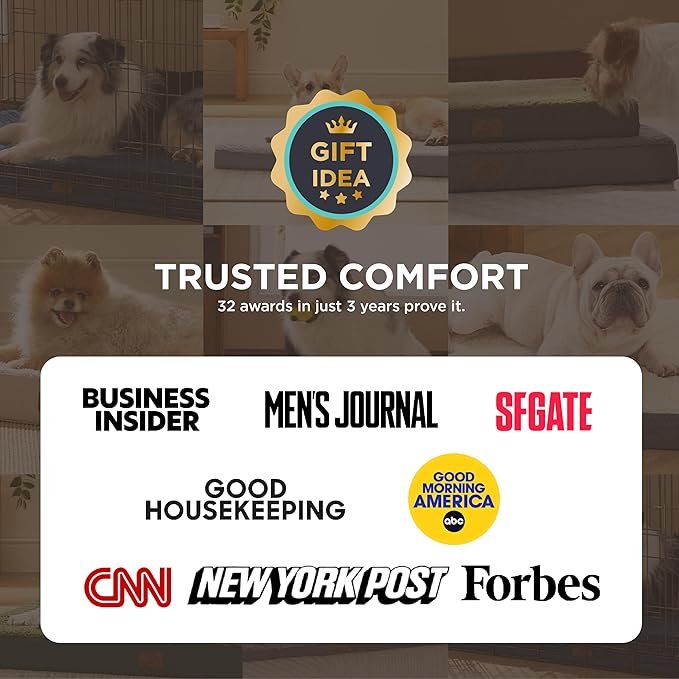 Bedsure Dog Bed for Small Dogs - XS Comfy Flat Puppy Beds with Removable Washable Cover, Orthopedic Egg Crate Foam Pet Mat, Suitable for Pet or Cats Up to 10 lbs