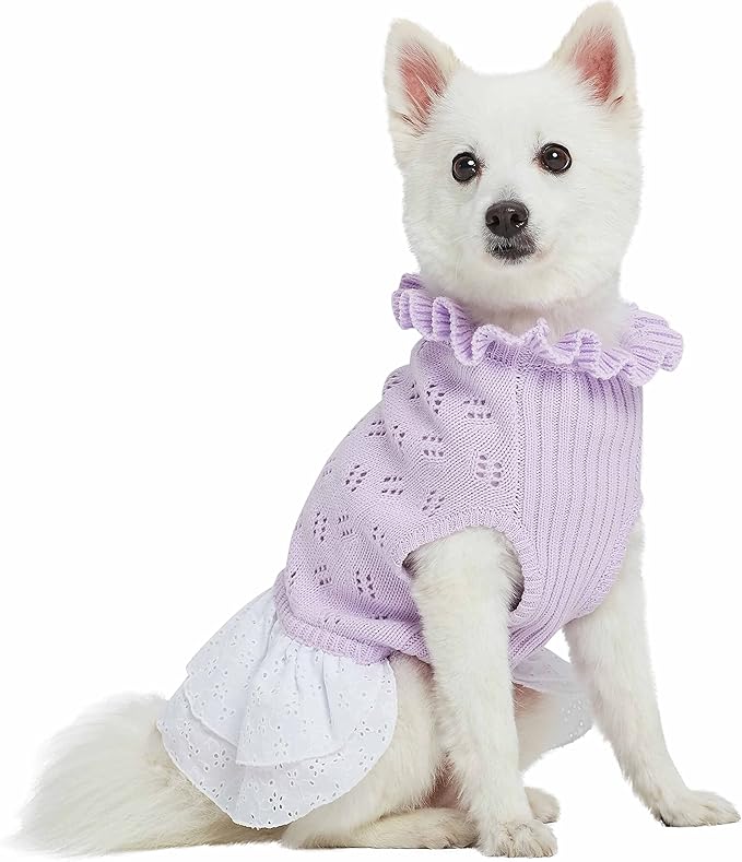 Blueberry Pet My Cutie Princess Ruffle Collar Dog Sweater Dress with Guipure Lace, Light Lavender, Back Length 12", Fall Winter Clothes for Girl Dogs