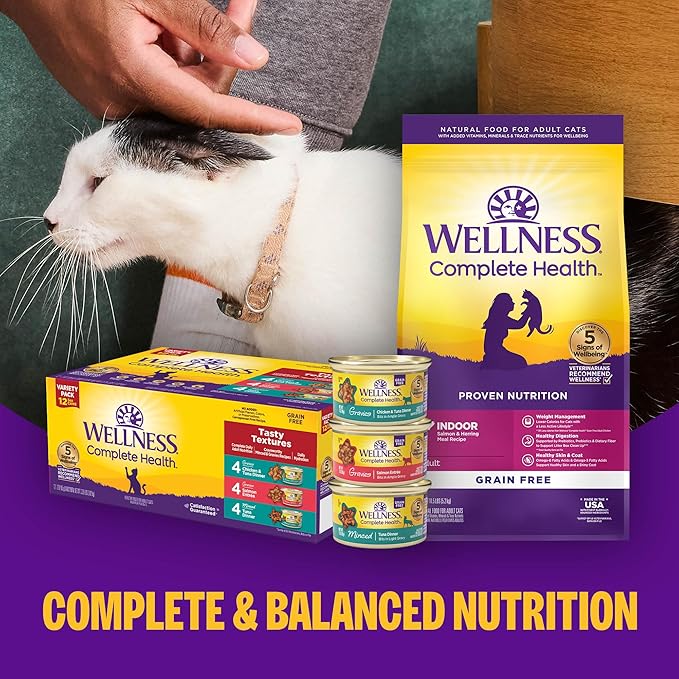Wellness Complete Health Pate Adult Wet Cat Food, Natural, Protein-Rich, Grain Free, 3 Ounce, 12 Pack, (Chicken & Turkey Favorites Variety Pack)