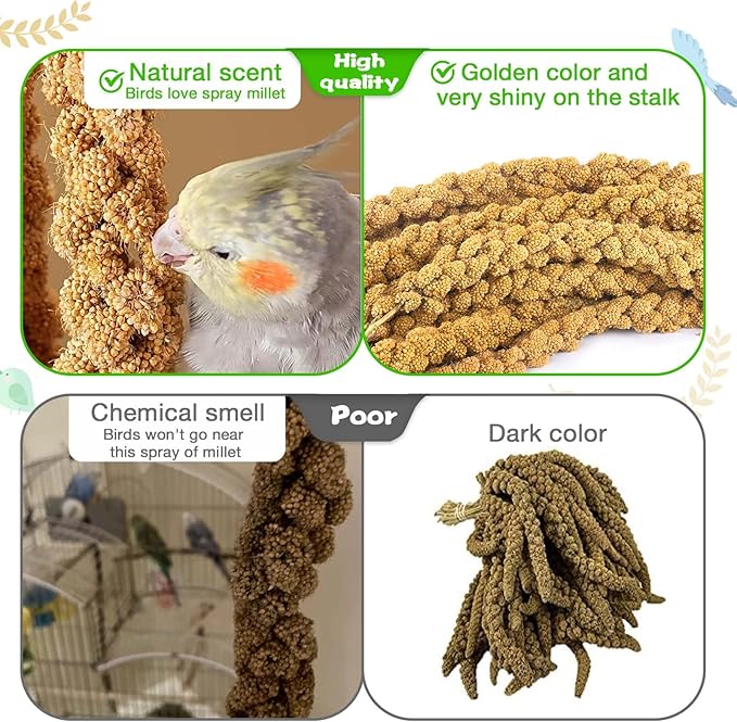 Millet for Birds 2.4LB, Natural Sun-Dried Millet Spray for Birds Seed No Stems Only Edible Tops for Parakeet, Budgies, Finches, Cockatiels, Parrots, Lovebird, Hamster and Other Pet Birds Bird Treat
