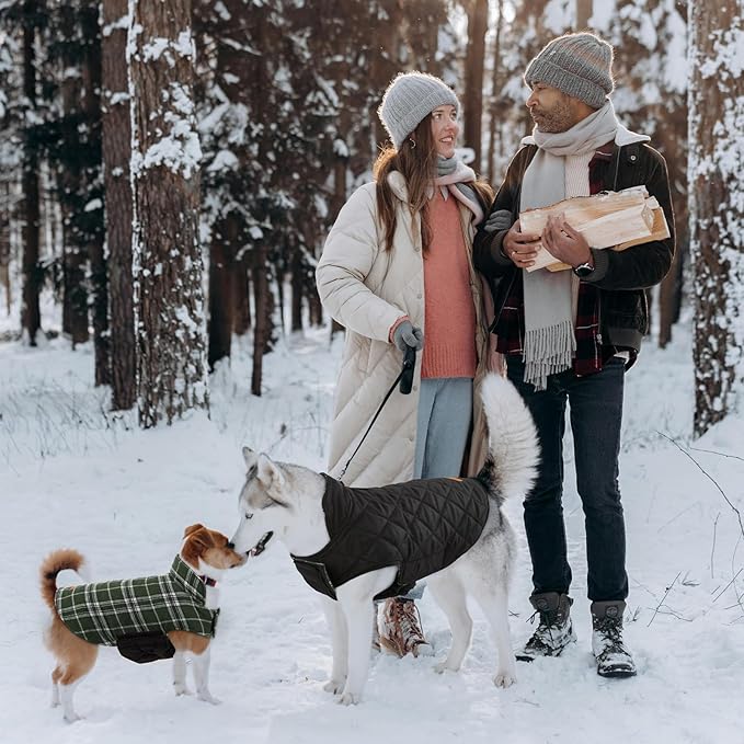 Kuoser Warm Dog Coat, Waterproof Dog Coats for X-Small Dogs, Adjustable Durable Doggie Winter Jacket Reversible Cozy Puppy Cold Weather Apparel from Small to Large Breed, Green XS