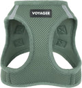 Best Pet Supplies Voyager Step-in Air Harness - All Weather Mesh, Reflective, No Pull Harness for Dogs, Cats - Secure with Hook & Loop Fastener, Buckle, Double D-Rings - Moss Green, XXXS