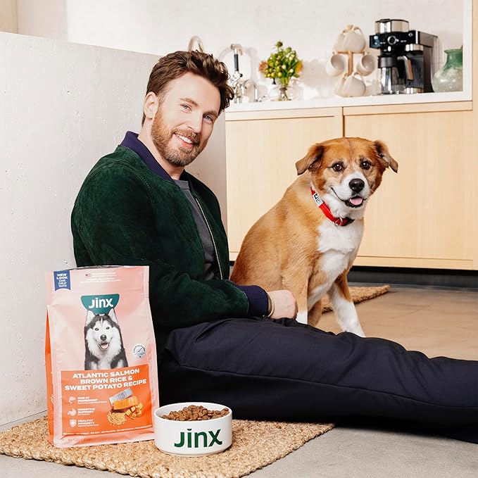 Jinx Premium Senior Dog Food Dry - Real Chicken, Brown Rice & Sweet Potato Kibble with Antioxidants for Immune Support & Whole Grains for Digestive Support - No Fillers - 4lb