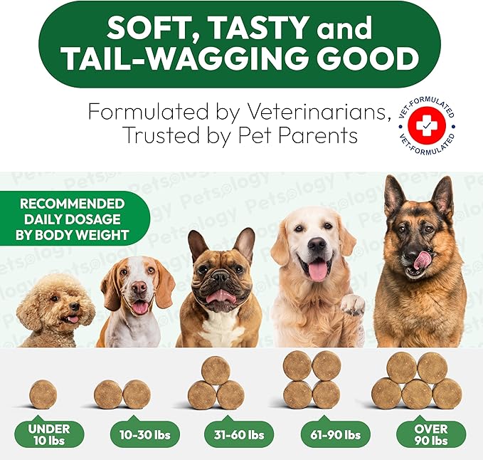 Hemp Hip and Joint Supplement for Dogs - Glucosamine for Dogs - 170 Mobility Support Chews - Advanced Joint Pain Relief Treats with Chondroitin, MSM, Turmeric - Large & Small Breeds - Made in USA