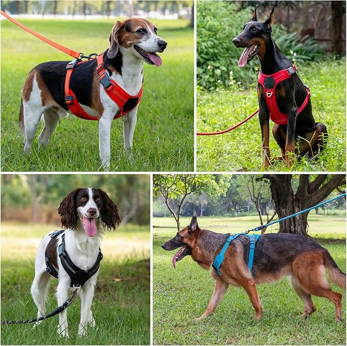 Plutus Pet No Pull Dog Harness, Release at Neck, Soft Padded, Reflective Adjustable Dog Vest Harness for Small, Medium, Large Dogs(Orange, XL)