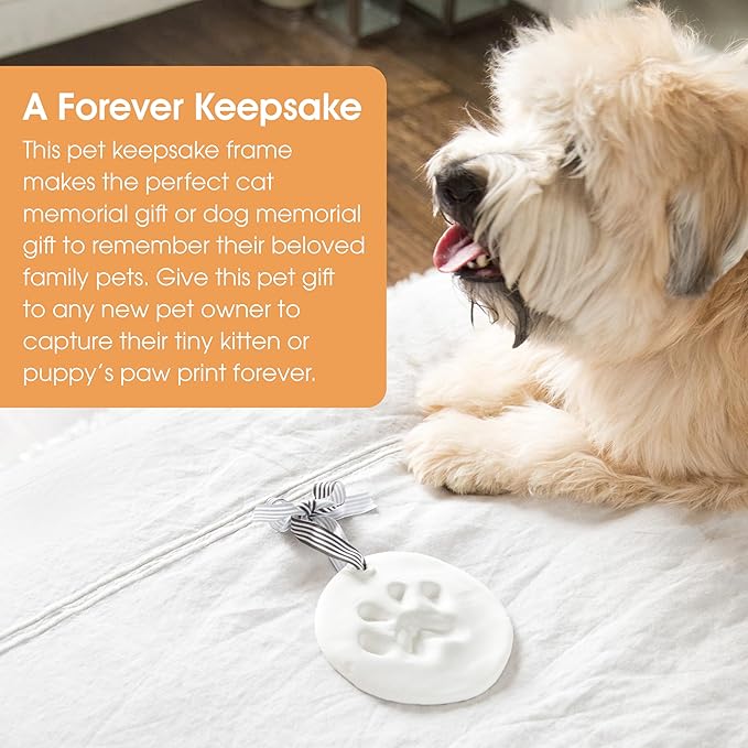Pearhead Pet Paw Print Keepsake Ornament Kit,Memorial Clay Paw Impression for Dogs & Cats,DIY Hanging Pet Memorial with Ribbons,Pet-Keepsake Gift,(Pack of 12)