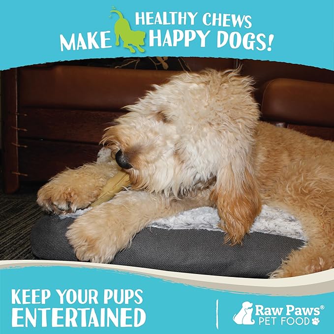 Raw Paws 5-inch Compressed Rawhide Rolls for Dogs, 10-ct - Packed in The USA - Pressed Rawhides for Dogs - Free-Range Raw Dog Hide Chews - Natural Dog Chew Sticks for Puppies & Small Breeds