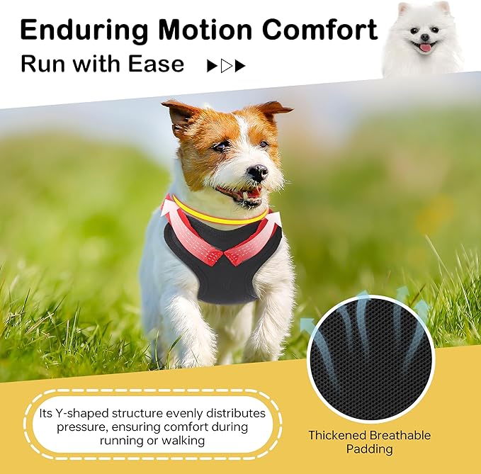 Adjustable Dog Backpack Harness with Reflective Leash, Backpack for Small Dogs, Built in Poop Bag Dispenser, Detachable Dog Back Pack for Outdoor Adventures, Puppy Training, Walking(Black,Small)