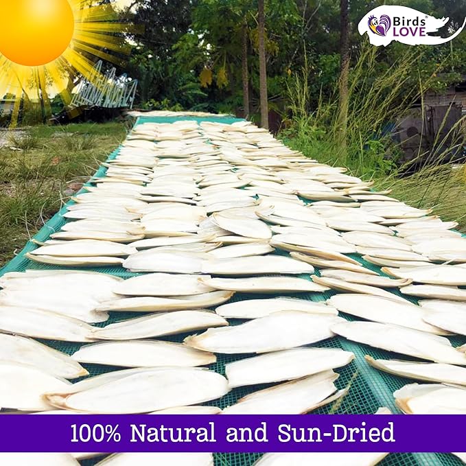 Birds LOVE 3.5-4″ Cuttlebones for Birds – 100% Natural Sun-Dried Calcium & Beak Conditioning Supplement for Parakeets, Budgies, Cockatiels, Finches & Canaries – 4 Pack with Holder – Made in Vietnam