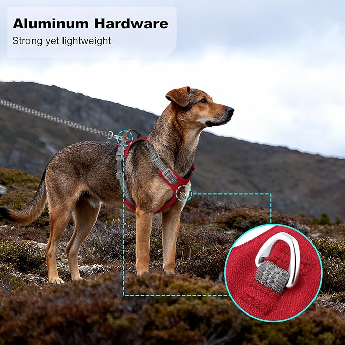 No Pull Dog Harness – Adjustable Reflective Nylon Vest for Small Medium Large Dogs, Escape Proof Training Harness with Leather Control Handle, Lightweight Aluminum Hardware (Red, L)