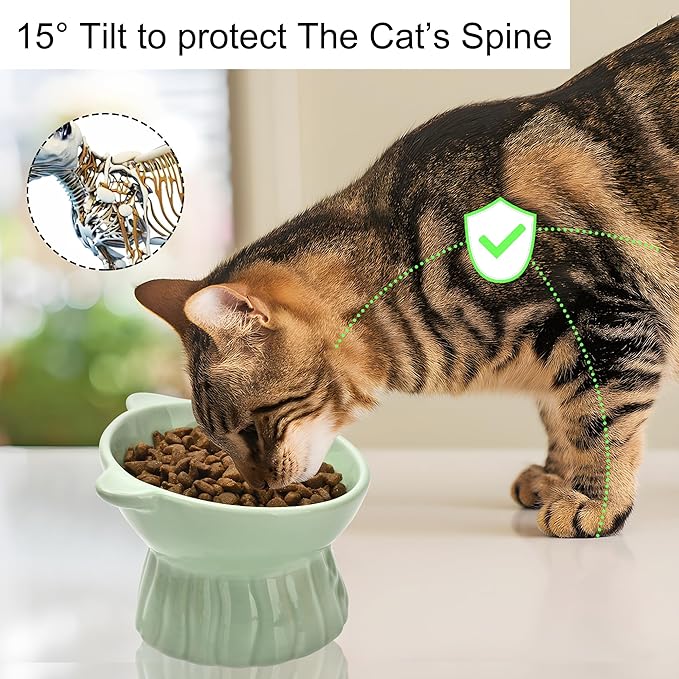 Elevated Cat Food Bowl,8 Oz Ceramic Raised and Tilted Water Bowl,Anti Vomiting and Protect Pets Spines Dishes for Fat Faced Cat, Indoor Cats,Kitten,Small Dog (Pink)