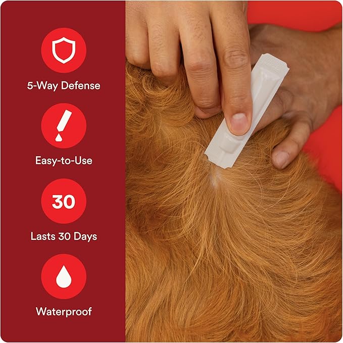 Advecta Ultra Flea and Tick Prevention for Dogs - Extra Large Dog Flea and Tick Treatment & Control - Mosquito Repellent - Fast Acting Waterproof Topical Drops, 4 Month Supply