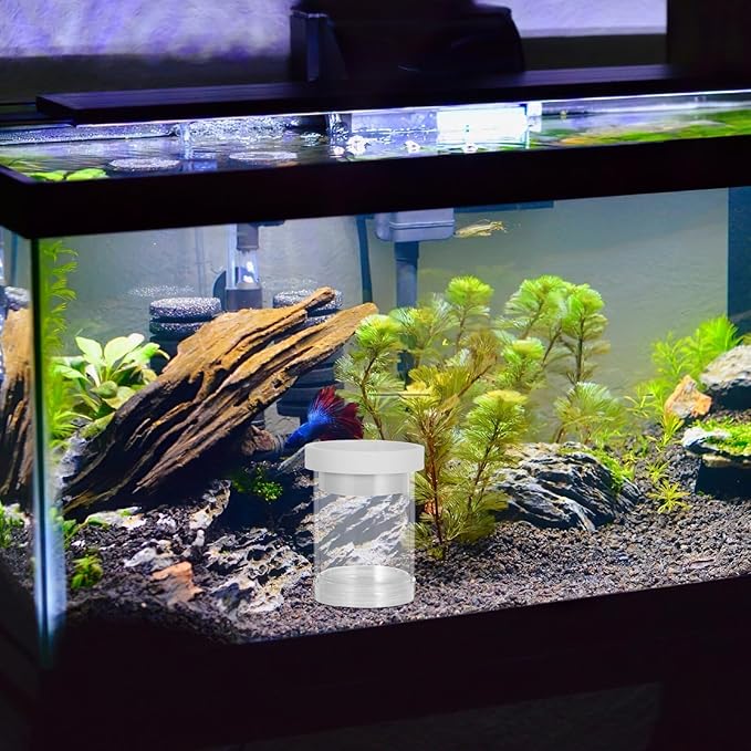 IMIKEYA Floating Aquarium Fish Breeding Box and Egg Incubator Isolation Chamber White Small Size Floating Hatchery for Guppy and Small Fish Fry