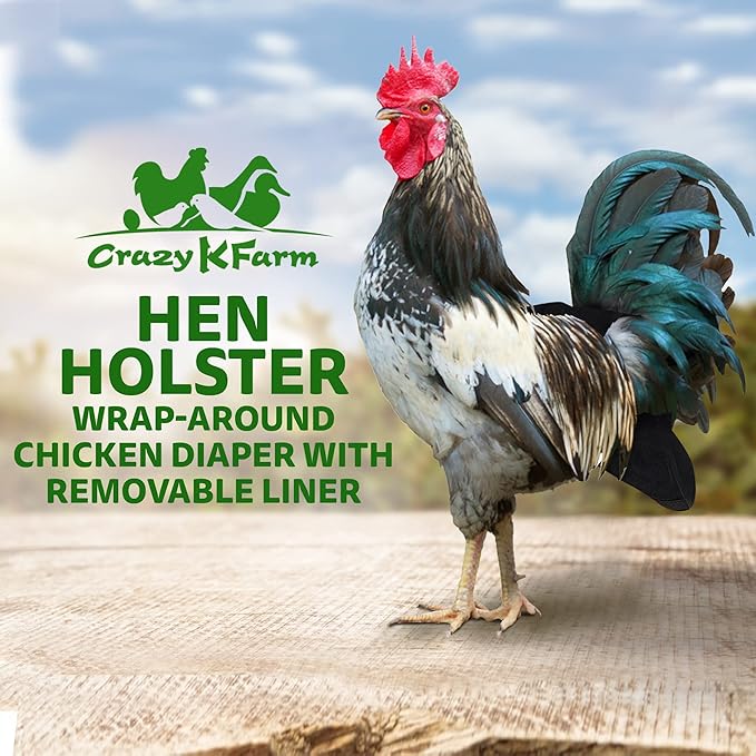 Hen Holster Wrap-Around Bird Diaper & Harness for Hens, Roosters, Ducks, Geese - with Removable Vinyl Liner, Adjustable Fit for Outdoor Adventures & Indoor Use - Easy to wear - Large, Black