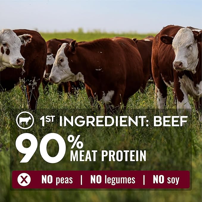 NATURE'S LOGIC Pure Naturals™ 100% Natural Beef Recipe Synthetic-Free Dry Dog Food, 24 lbs