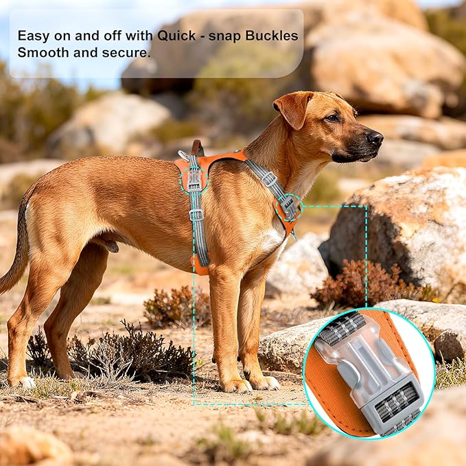 No Pull Dog Harness – Adjustable Reflective Nylon Vest for Small Medium Large Dogs, Escape Proof Training Harness with Leather Control Handle, Lightweight Aluminum Hardware (Orange, L)