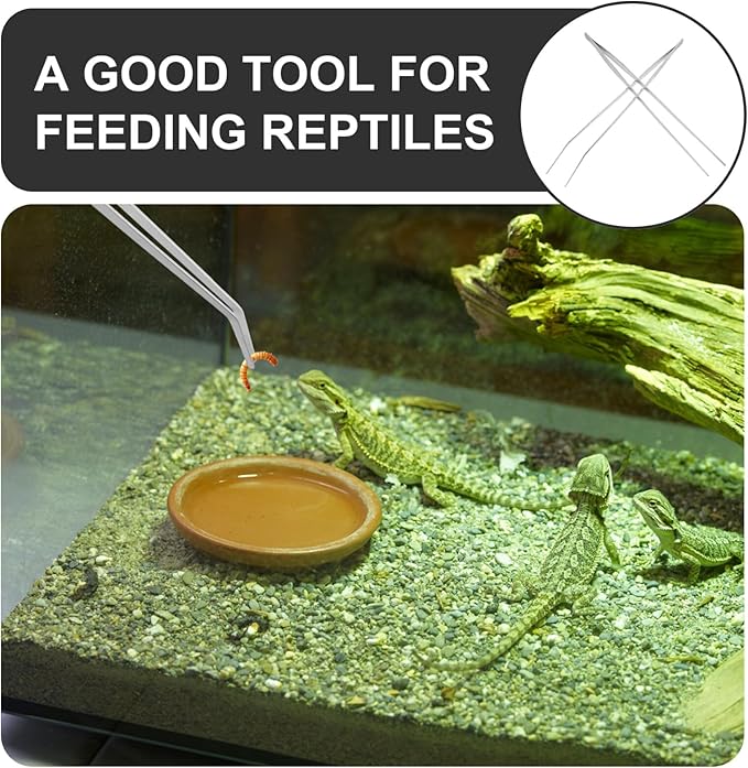 2pcs Extra Large Reptile Feeding Tongs Handle Tweezers for Aquariums Non- Metal Feeding Clip for Lizard Scorpion Practical Tool