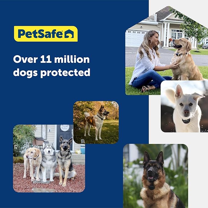 PetSafe Stay & Play 2-Dog Compact Wireless Fence - Portable & No-Dig - Includes 2 Collars - Covers Up to 3/4 Acre - for Dogs 5lb+