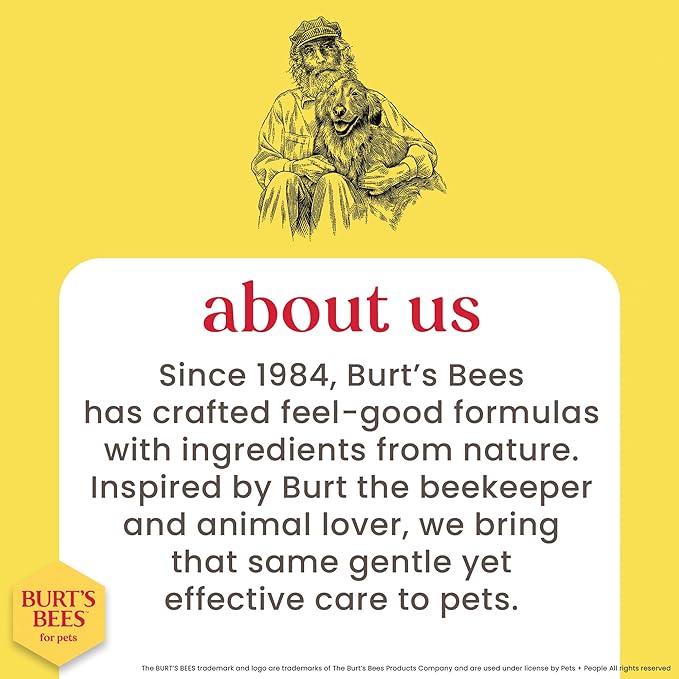 Burt's Bees for Pets Tearless Kitten Shampoo with Buttermilk and Honey, Gentle Cat Shampoo for Itchy Skin and Sensitive Coats, Easy Rinse Low Lather Formula, 99.3% Natural Origin, 10 Fl Oz - 2 Pack