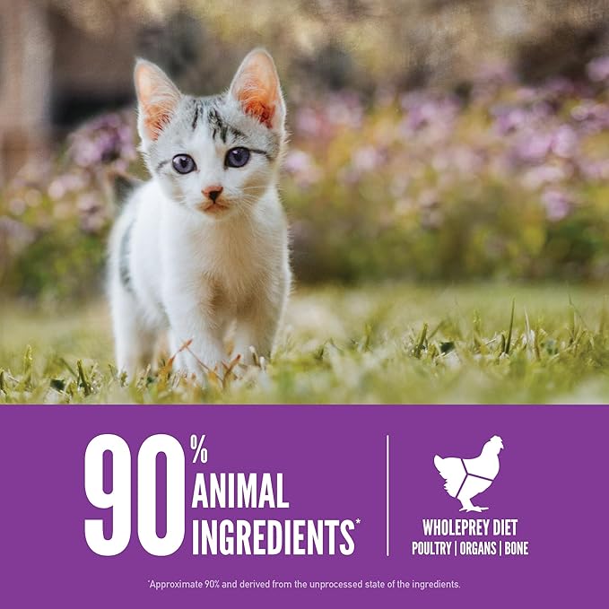 ORIJEN Grain Free High Protein Premium Dry Cat Food Kitten Recipe 4lb Bag