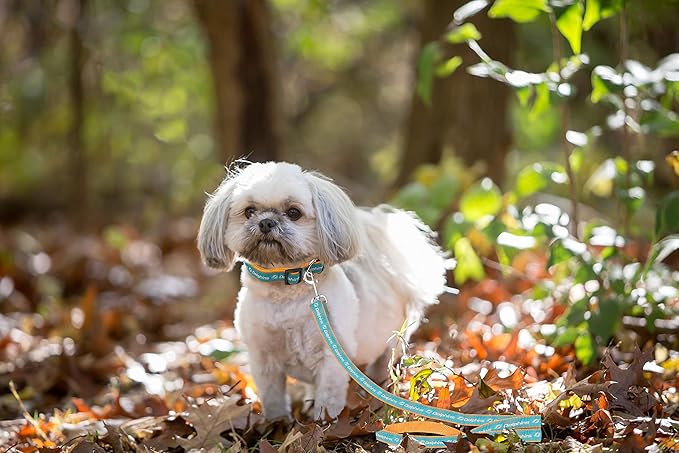 Pets First NFL Licensed Miami Dolphins Pet Leash, Size Small– Durable Satin Dog & Cat Walking Strap and Pet Tether with Embroidered Team Name & Logo