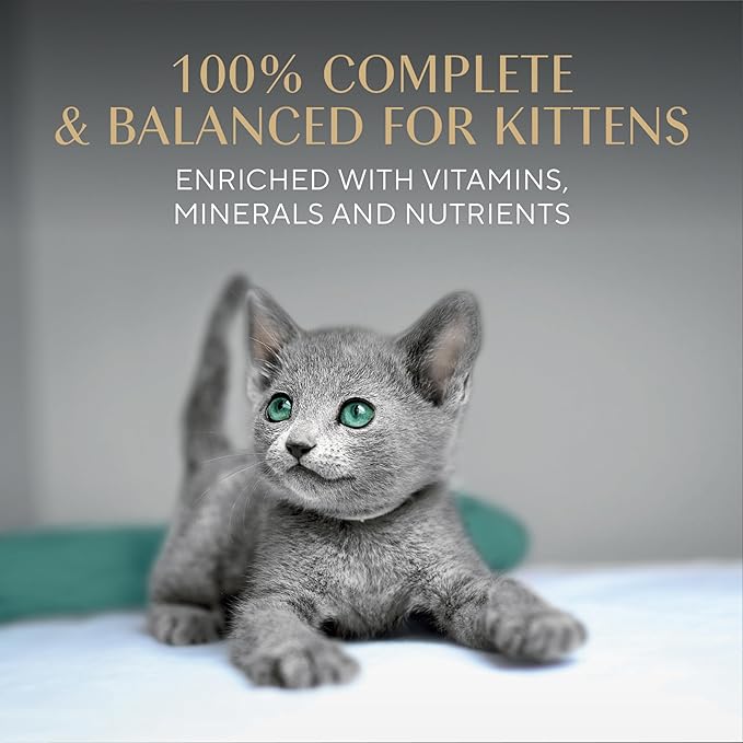 Sheba Perfect Portions Kitten Wet Food,Pate Cat Food Wet Entree,Chicken Recipe,2.6 oz. Twin-Pack Trays (,48 Servings),24 Count (Pack of 2)