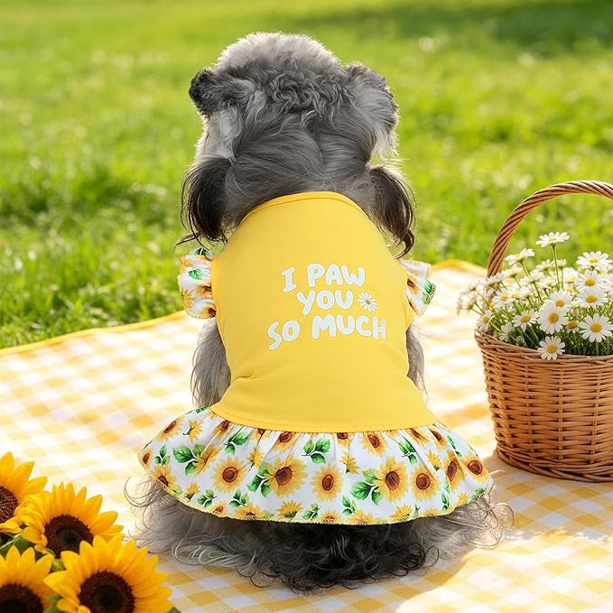 XPUDAC 4 Pack Cute Dog Dress for Small Dog, Floral Pet Clothes Sweet Girl Puppy Dress Colorful for Birthday Holiday Spring Summer Pet Outfits Skirt for Girls, M