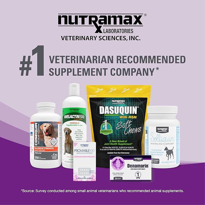 Nutramax Dasuquin Joint Health Supplement for Cats - with Glucosamine, Chondroitin, ASU, Boswellia Serrata Extract, Green Tea Extract, and Omega-3, 84 Soft Chews,(Pack of 2)