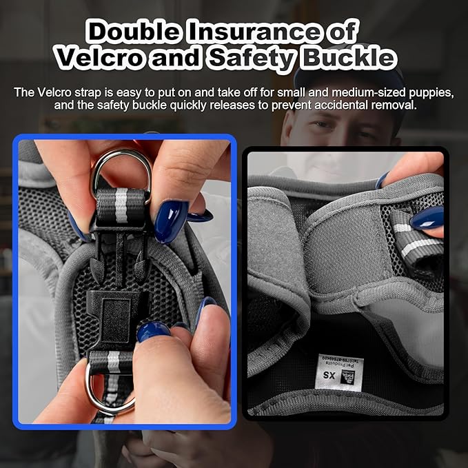 Dog Harness Medium Sized Dogs, Puppy Harness and Leash Set for Training, Running, Walking, Suitable for Small and Medium Dog Vest, Black, M