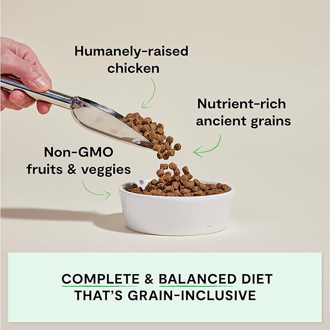 Open Farm, Ancient Grains Dry Dog Food, Protein-Rich & Nutrient Dense, 90% Animal Protein Mixed with Non-GMO Fruits, Veggies and Superfoods, Harvest Chicken Recipe, 4lb Bag