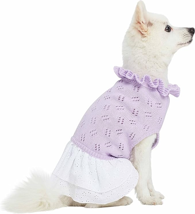 Blueberry Pet My Cutie Princess Ruffle Collar Dog Sweater Dress with Guipure Lace, Light Lavender, Back Length 14", Fall Winter Clothes for Girl Dogs