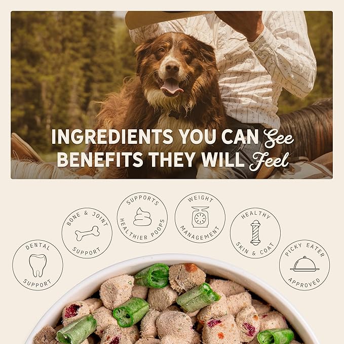 Tally's Ranch Freeze-Dried Raw Dog Food | Complete & Balanced Meal, Topper or Mixer | Real Beef | High Protein Diet for Picky Eaters | Vet Formulated, Made in USA, Whole Food Ingredients (2lb Bag)