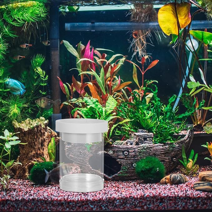 Floating Fish Incubator and Small Fish Breeding Isolation Box with Suction Cups, Aquarium Egg Isolation Chamber for Guppy Fry Hatchery and Aquarium Breeding