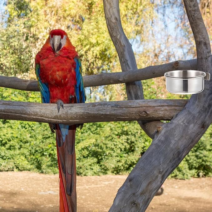 Yardwe Parrot Feeding Cups, 6pcs Stainless Steel Bird Feeder with Clamp, Bird Cage Accessory Food Dish for Cockatiel Conure Budgies Parakeet Parrot Macaw Small Animal Chinchilla